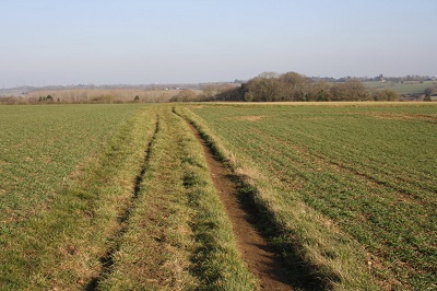 Photograph of Clothall 30 bridleway