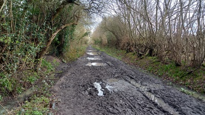 Photograph of Hixberry Lane, Colney Heath 54