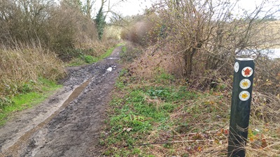 Photograph of Hixberry Lane, Colney Heath 54