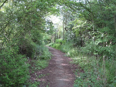 Looking Northwards on Woodrake Lane