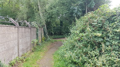 View South along Colney Heath 7