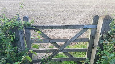 Looking N at path junction