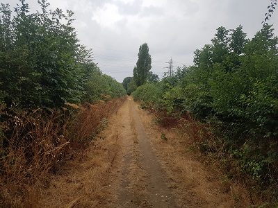 Photograph of Colney Heath permissive bridleway 1