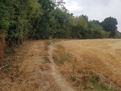 Photograph of Colney Heath permissive bridleway 1