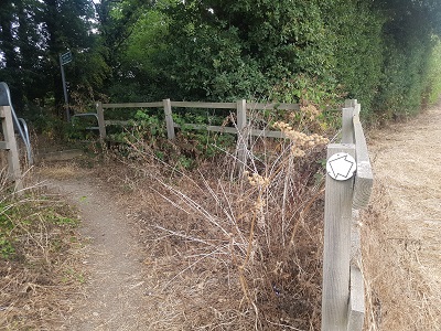 Photograph of Colney Heath permissive bridleway 1
