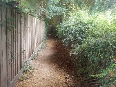 Photograph of Cottered 26