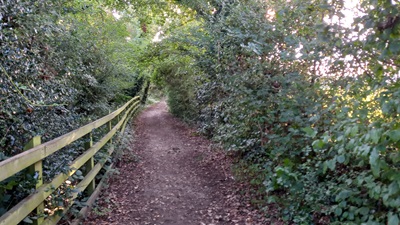 Photograph of Datchworth 11