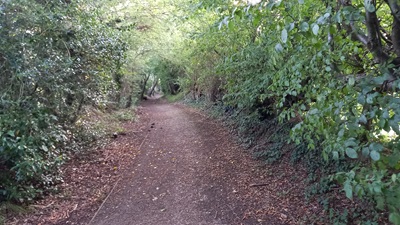 Photograph of Datchworth 11