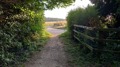 Photograph of Woolmer Green 9