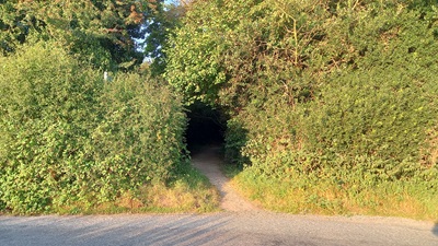 Photograph of Woolmer Green 9