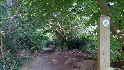 Photograph of Datchworth 13