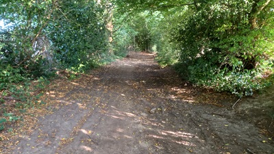 Photograph of Datchworth 13