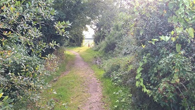 Photograph of Datchworth 26