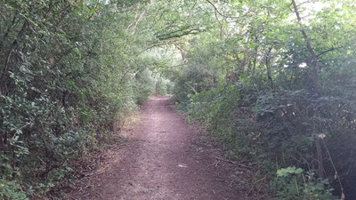 Photograph of Datchworth 26