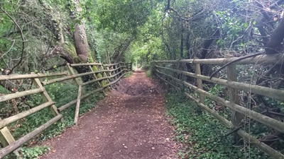 Photograph of Enfield 330 bridleway looking south