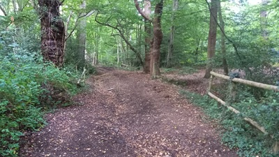 Photograph of Enfield 7 bridleway looking north