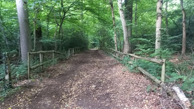 Photograph of Enfield 7 bridleway looking north