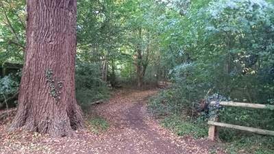 Photograph of Whitewebbs North bridleway looking east