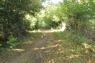 Flamstead UCR1 photograph
