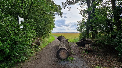 Photograph of Graveley 8 bridleway heading southwestwards