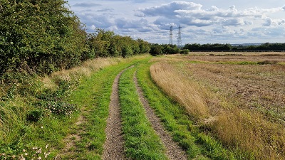 Photograph of Graveley 8 bridleway heading southwestwards