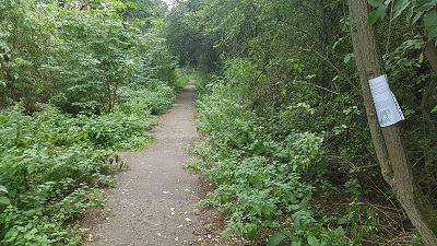 Photograph of Old Graveley Lane