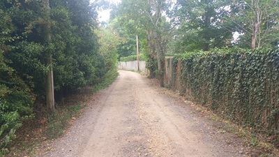 Photograph of Great Amwell 9 path
