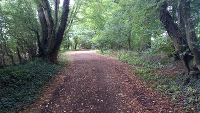 Photograph of Great Munden 35