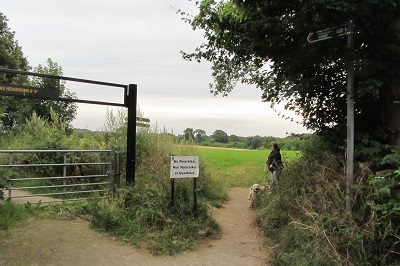 Hemel Hempstead 119