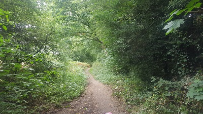 Hemel Hempstead 128