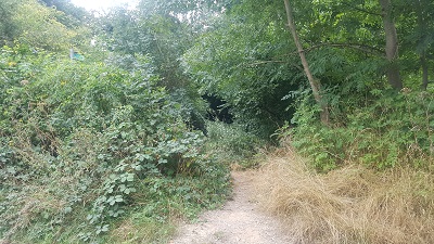 Hemel Hempstead 128