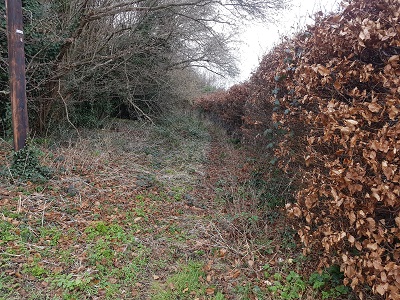 Hemel Hempstead 139 photograph