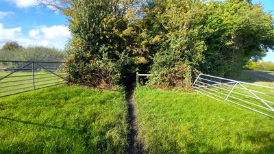 Photograph of Hemel Hempstead 20