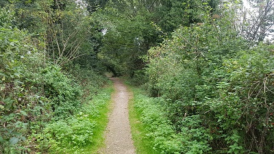 Hemel Hempstead 7