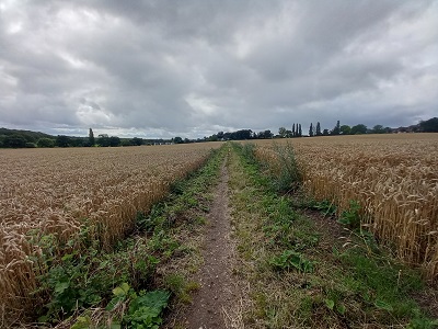Photograph of Hertford 13