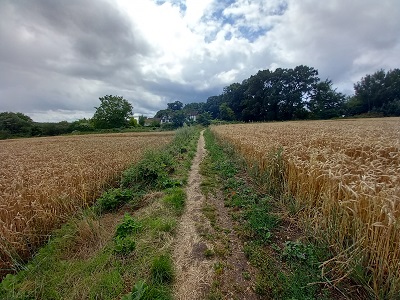 Photograph of Hertford 13