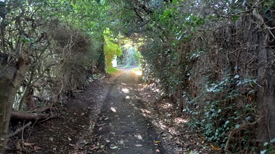 Photograph of Hertford 60