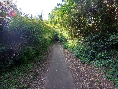 Photograph of Hertford 94 heading north