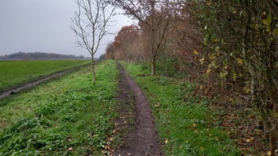 Photograph of Hertingfordbury 12 bridleway