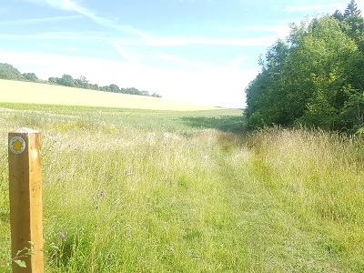 Photograph of Hexton 2 path