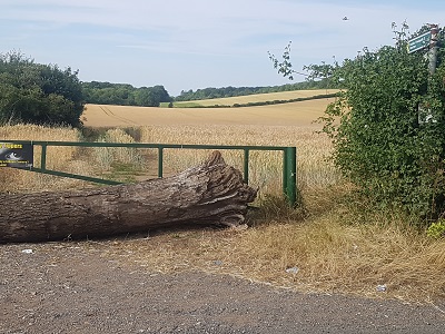 Photograph of Hexton 2 path