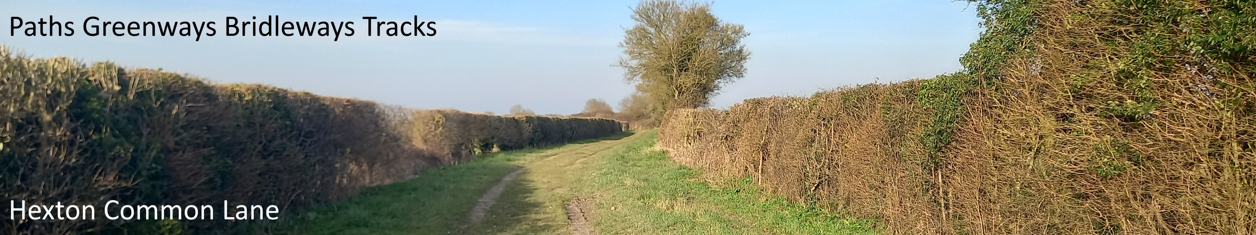 image of Hexton Common Lane taken in 2025 showing path bounded by hedgerows