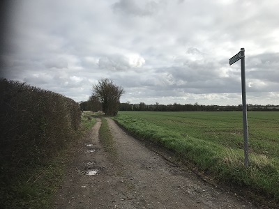 Photograph of High Wych 34