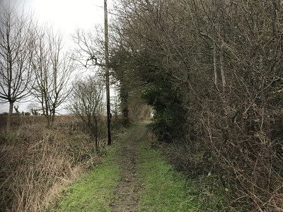 Photograph of High Wych 34