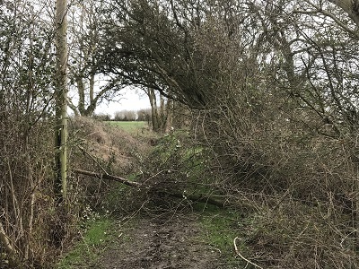 Photograph of High Wych 34