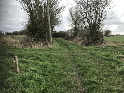 Photograph of High Wych 34