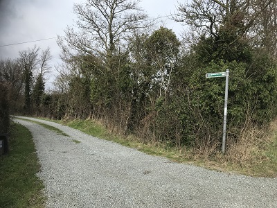 Photograph of High Wych 34