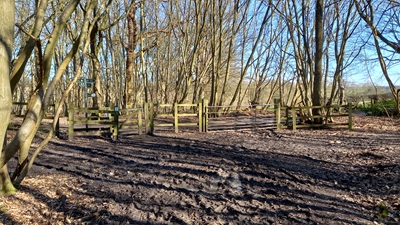 Photograph of Hoddesdon 73 bridleway