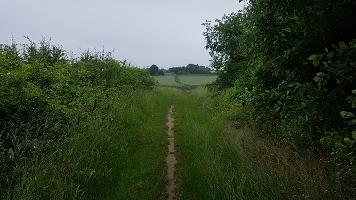 Holwell 13 and Pirton 6 Route