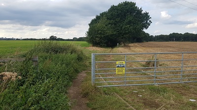 Knebworth 2 from Watton Lane